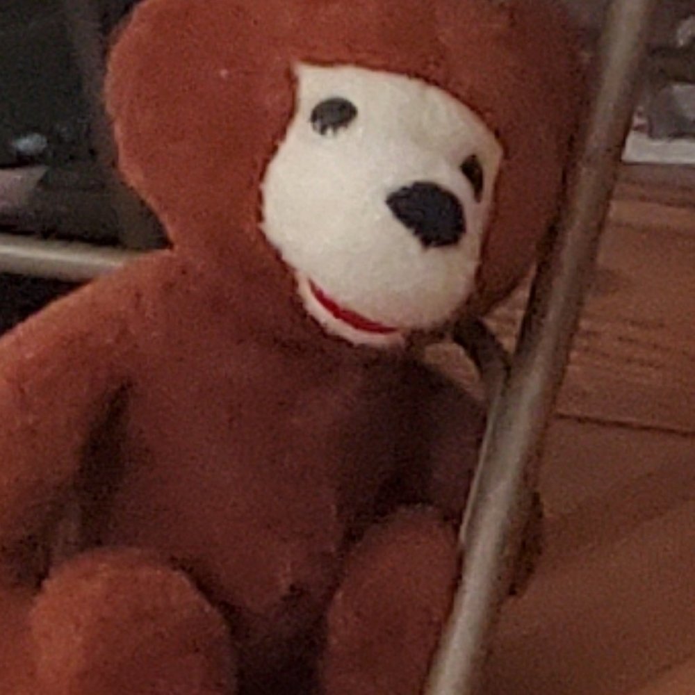Teddy bear